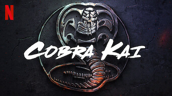 Is Cobra Kai Season 3 21 On Netflix Japan